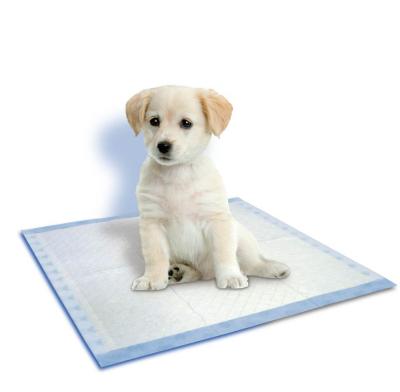 China Disposable Pet Pee Pads Leak Proof Pet Puppy Training Pad OEM Brand Pet Portable Waterproof Urine Pad for sale