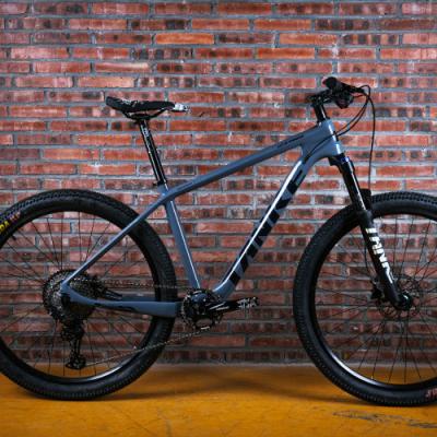 China Hot Selling TANKE Carbon Fiber Mountain Bike 12 Speed ​​Custom MTB Bicycle Cheap Bike for sale