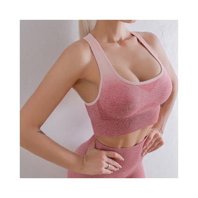 China Other Factory Price Body Sculpted Spandex And Nylon Ladies Sports Bra For Exercise for sale