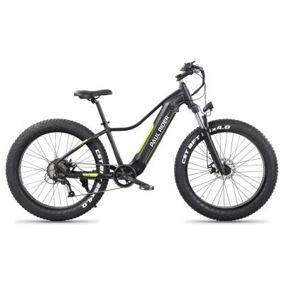 China Aluminum alloy 48V 26 inch motor 1000W 750W 500W fat tire road ebike mountain bicycle electric bike for snow road for sale