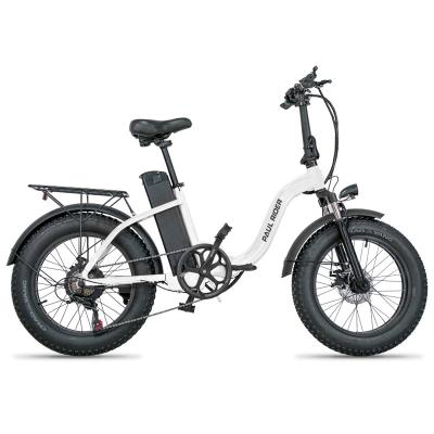 China Aluminum alloy 7 speed 48V 350W 500W 750W 10AH 20 times electric bike snow tire electric bicycle electric bike wholesale for sale