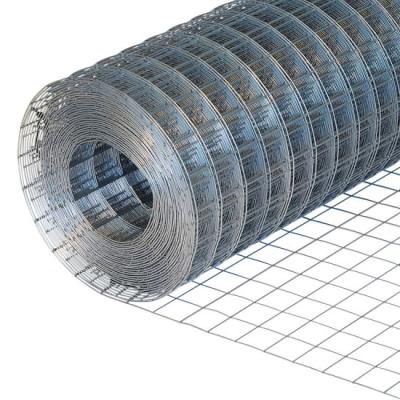 China Galvanized Mesh Net Bird Cage Netting Welded Wire Mesh Roll For Sale for sale