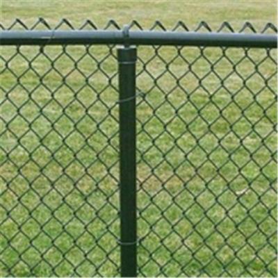 China Fence Mesh Galvanized PVC Coated Chain Link Fence Factory Wholesale for sale