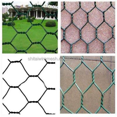 China Rustproof Plastic Coated Galvanized Chicken Poultry Wire Mesh for sale