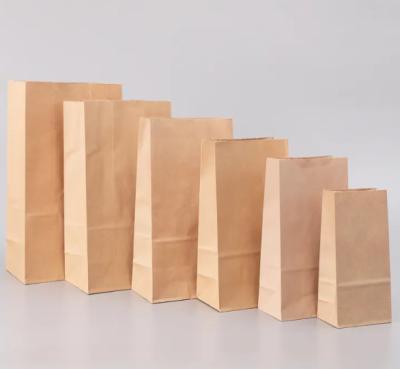 Chine Nouveaux sacs d'emballage en papier kraft recyclable à la mode à vendre