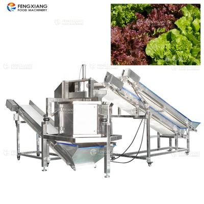 China Fruit Vegetable Spinner Machine Salad Drying Machine Lettuce Cabbage Dehydrator Vegetable Spinning Dryer for sale