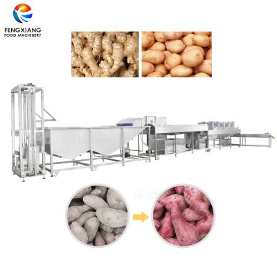 China Sweet Potato Sweet Potato Production Line Ginger Washing Line Vegetable Washing Drying Machine for sale