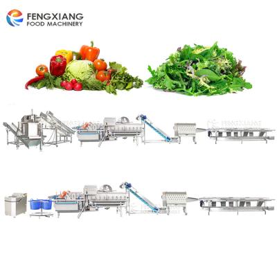 China Hotels Fengxiang Salad Vegetable Processing Line Salad Cutting Washing Dehydrating Machine for sale