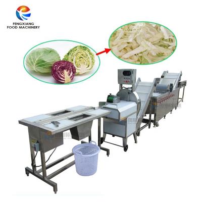 China Different Kinds Of Vegetables Salad Vegetable Production System Industrial Vegetable Washing Cutting Drying Processing Line for sale