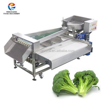 China Root Vegetables Like Eco-friendly Potato Potato Washing Production Line/Seal/Stripper/Sorter Peeling Machine for sale