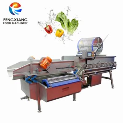 China Snack Factory XWA-1300 Full Automatic Fruit And Vegetable Machine Eddy Current Washing Washing Machine for sale