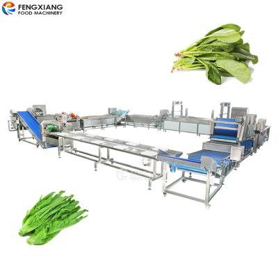 China Automatic Head Lettuce Vegetable Processing Spinach Line Cutting Washing Blanching Desiccant Machine for sale