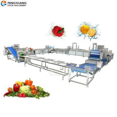 China Automatic Vegetable Spinach Cutter Head Lettuce Washing Blanching Dehydrating Processing Line for sale