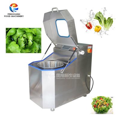 China food & Beverage Plant FZHS-15 Restaurant Vegetable Dewater Machine Vegetable Dehydrator for sale