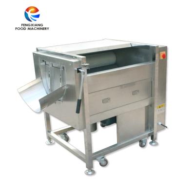 China MSTP-80 small red onion washing and peeling machine for sale