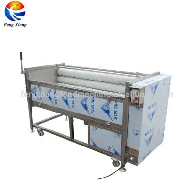 China MSTP-1000 Hotels Potato Carrot Taro Cassava Ginger Yam Vegetable Root Industrial Washing Peeling Machine for sale