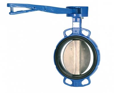 China Custom Ductile Cast Iron Lug And Wafer Type Butterfly Valve DN40 - DN600 for sale