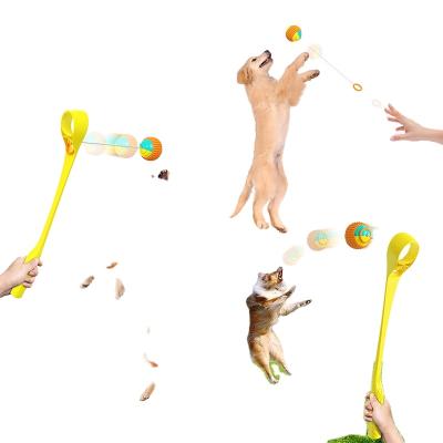 China Viable Multifunctional Detachable Feather Cat Toy Interactive Pet Toy for sale