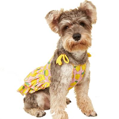 China Factory Sale Pet Clothes Summer Slim Floral Pleat Dress Dog Clothes for sale