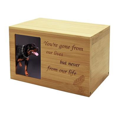 China New Customized Viable Casket Pour Pets Space Wholesale Pet Caskets Pull Lid Wide To Seal Animal Urn for sale