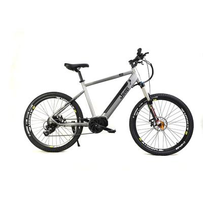 China Hot sale alloy bicycle 700C 250W motor e cycle e bikes electric bicycle for sale