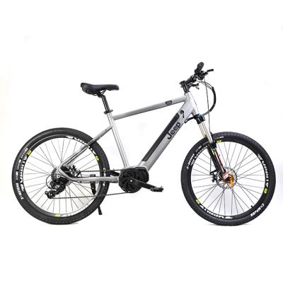 China Hot sale 29 inch 250w aluminum alloy electric bicycle ebike 36V 8Ah electric bicycle for sale