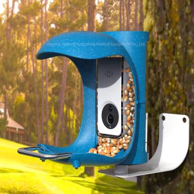 China Wifi Smartphone Auto App Identify Rechargeable Automatic Birds Pet Bird Smart Feeder With Camera for sale