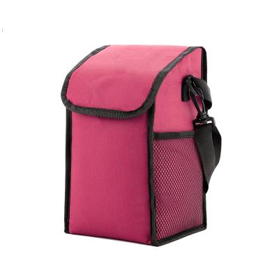 China Insulated Carry On Tote Cooler Bag Lunch Picnic Food Bag Insulated Thermal Cooler Bag for sale