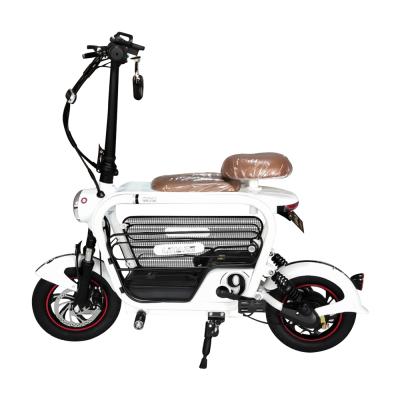 China Standard Adults Electric Bike For Sale FLXP-1001 for sale