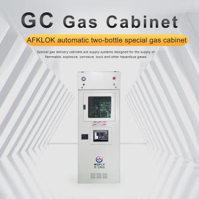 Cina Special Gas Conveying Cabinet for Flammable and Explosive Corrosive and Toxic Gases in vendita