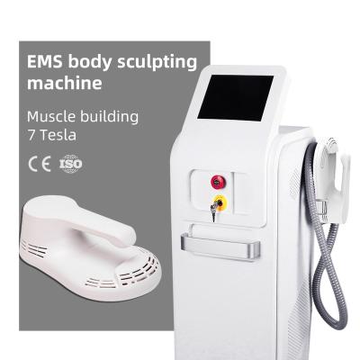 China Weight Loss Emagnetic Slim Muscle Electro Magnetic Stimulation Sculpt Fat Removal Emslim for sale