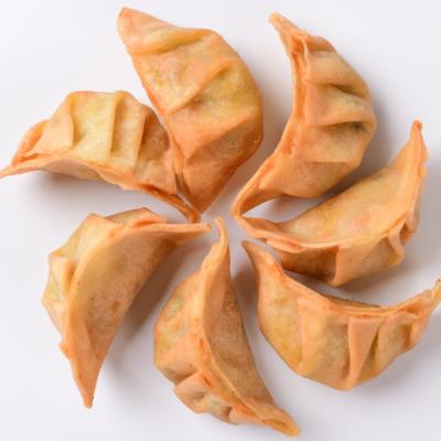 China Chinese Japanese Frozen Fried Gyoza Dumpling Jiaozi with Halal Meat for sale