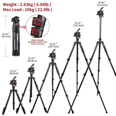 China 360   All-round Stability Shooting Factory Direct Price Lightweight Digital Camera Tipod Universal Phone Tripod Stand for sale