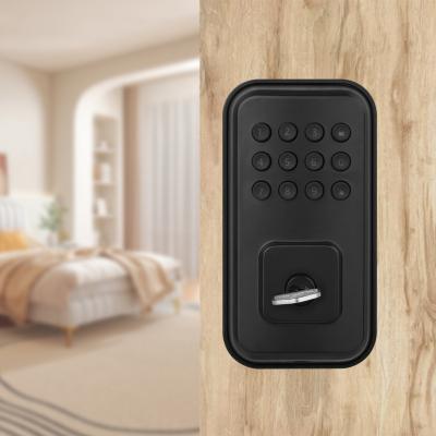 China Residenta Smart New Arrival Programmable Residence Lock Deadbolt Electronic Digital Lock Door For Door Gate for sale