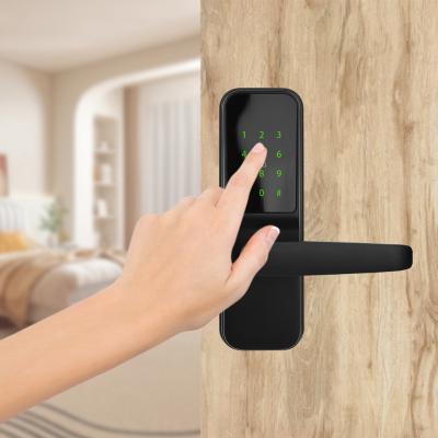 China Wireless Door Handle Residenta Modern Outdoor Advanced Smart Body Manufacturers Smart Door Handle With Electronic Code Lock for sale