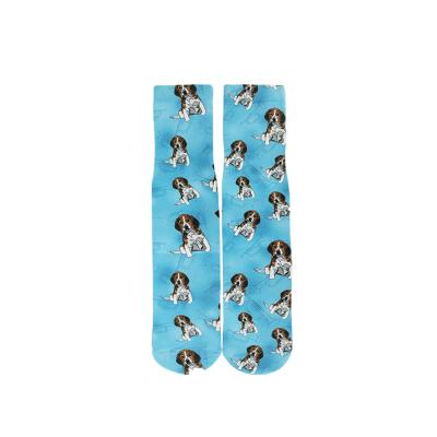 China QUICK DRY Wholesale Custom 360 Digital Photo Dye Blank Polyester Printed Socks Sublimation Printing Socks For Adult for sale