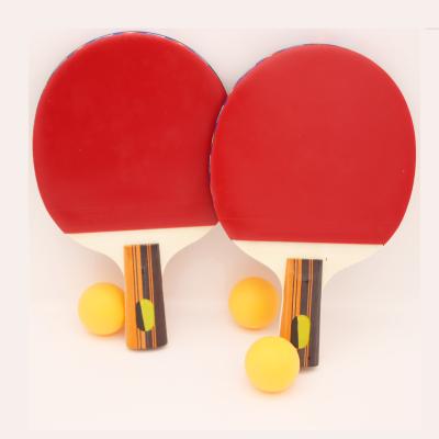 China High Quality Professional Table Tennis Racket Poplar Table Tennis Rubber Paddle For Training for sale