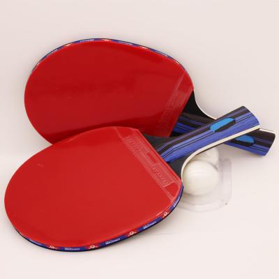 China Poplar factory price printing colorful ping pong rubber racket sponge ping pong bat paddle for sale