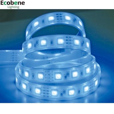 China IP68 LANDSCAPE CE RoHS Outdoor Flexible Led Christmas Decoration Strip Lights Flexible Led Strip Dmx for sale