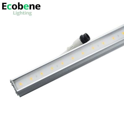 China High quality outdoor ip65 hotel waterproof smd 5050 led strip light facade lighting exterior building linear lights for sale