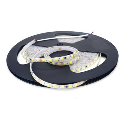 China SCENERY 2021 New 30cm 5m 20m 25Meter Ip67 Waterproof IP68 Flexiable Lights Outdoor 24v RGB TDC Led Strip Light for sale