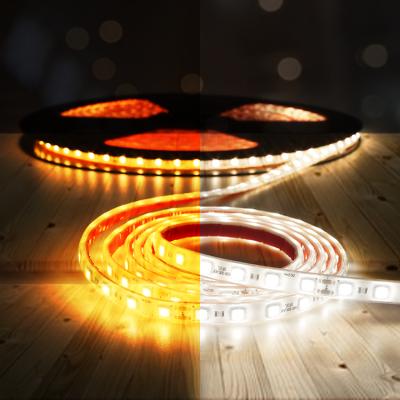 China LANDSCAPE Strip Light 5050 24Volt Outdoor Waterproof Lighting Desk Dreamy Color RGB Led Strips for sale