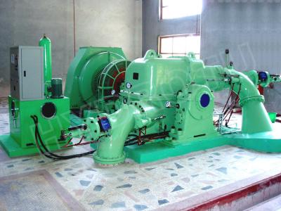 Cina Piccola turbina della turbina di Turgo della turbina ad azione idro/acqua di Turgo con il corridore dell'acciaio inossidabile in vendita