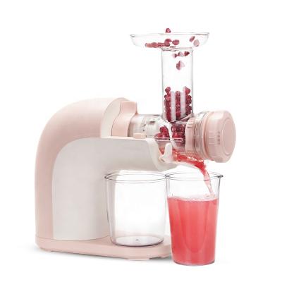 China LongBank LB-SJ-E27 Professional Household Slow Juicer Juicer Machine Easy Handling Fruit Slow Juicer for sale