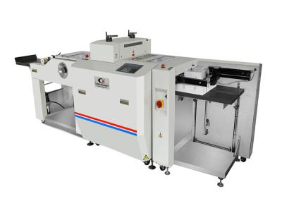 China Factory Labels Cutting & Making Machine Automatic Kiss-Cut Creasing Rotary Die-Cutting Machine for Normal/Coated Paper (DP-A4055) for sale