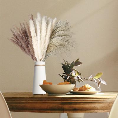 China 60Pcs Wedding Party Store Decoration Home Natural Dry Pampas Grass - 20 Pcs White Pampas Cream and 20 Pcs Brown Pampas and 20 Pcs Reed Grass 17.5 Inch D Fluffy Stems for sale