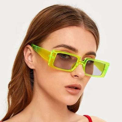 China New PC Sunborry Fashion Rectangular Sunglasses Men Women Fluorescent Transparent Multicolor Punk Sunglasses for sale