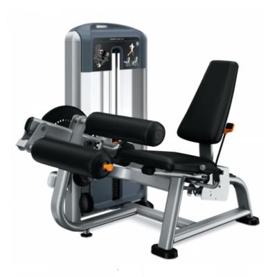 China Commercial use competitive price leg curl gym strength equipment for sale for sale