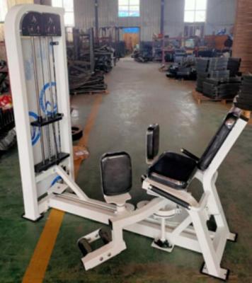 China Factory Use Support New Style Commercial Fitness Dual Life Gym Abductor Abductor Machine for sale