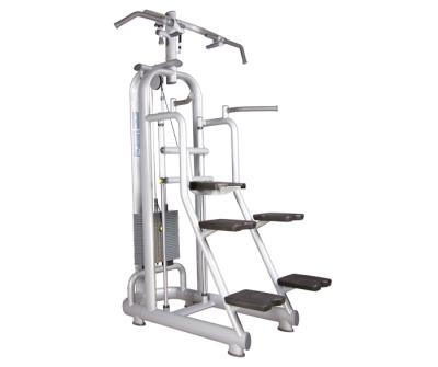 China 2018 New Premium Gym Automated Exercise Chin Up /Commercial Use Exercise Dip for sale